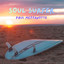 Paul Mezzanotte - Soul Surfer