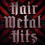Hair Metal Hits cover