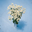 It's You - Denuo