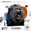 Coming up Stronger - TecHouzer & Jennifer Lee Remix