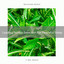 Leading Noises Selection For Peaceful Sleep cover