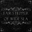 The Despairing Sea II: The Wanderer Euryale cover