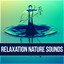 Relaxation Nature Sounds - Relaxation & Meditation, Endlessly Soothing Music, Instrumental Nature Sounds, Ocean Waves, Luxury Spa, Sensual Massage Music for Aromatherapy cover