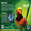 Comeaway cover