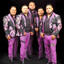 Zapateado las Guilotas - En Vivo cover