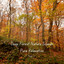 Deep Forest Nature Sounds Pure Relaxation Vol. 1 cover