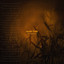 Deterdings - State Fair Specails Starting Early this year
