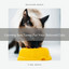 Calming Sea Tunes For Your Beloved Cats cover