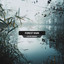 Forest Rain & Nature Ambiance cover