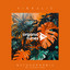 Tin-Tin - Extended Mix