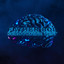 Serotonine test cover