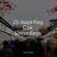 25 Inspiriting Rain Recordings cover