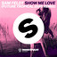 Sam Feldt - Need That Love