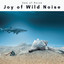 1 Joy of Wild Noise cover