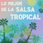 Lo Mejor De La Salsa Tropical cover
