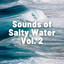 Ocean: Sounds of Salty Water Vol. 2 cover