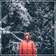witness. cover