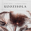Uzozisola