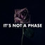It's Not a Phase cover