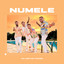 Numele cover