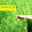 Unknown Title cover