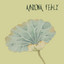 Ariyona Febly — Harderwijk cover art