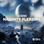 Naughty Pleasure - Extended Mix