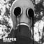 Reaper cover