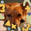 Smooth Jazz Chill Out - Background for Dog Parties cover