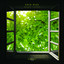 Green Leaves - Mir Omar Extended Remix