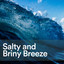 Salty and Briny Breeze cover