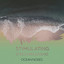 zZz Stimulating Stress Releasing Ocean Noises zZz cover