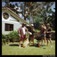 Beddy Rays - Morning Light