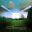 Cambridge Calling, Vol. 5 cover