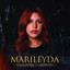 Desafiando La Gravedad cover
