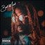 Bad Mind cover