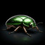 Junebug