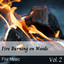 Fire Music: Fire Burning on Woods Vol. 2 cover
