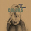 Ansatz Der Maschine - Colors