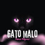 Gato Malo