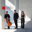 Wolfgang Amadeus Mozart, Carl Stamitz - Genre musical le divertimento, divertimento pour basson et quintete divertimiento presto