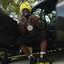 Yellow Really Gold
