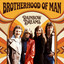 Brotherhood Of Man