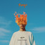Fuego artwork