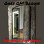 Woman in the Mirror cover