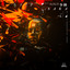 Shaolin - Integrate Remix