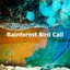 Rainforest Bird Call