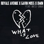 What Is Love feat. Nito-Onna