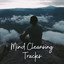 Mind Cleansing Tracks cover