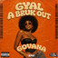 Govana, Zimi - Gyal a Bruk Out